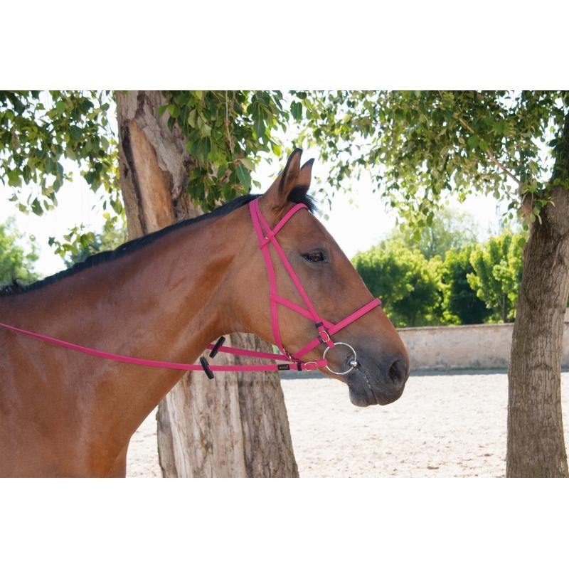 Biotack Bridon Licol - SHOP HORSE